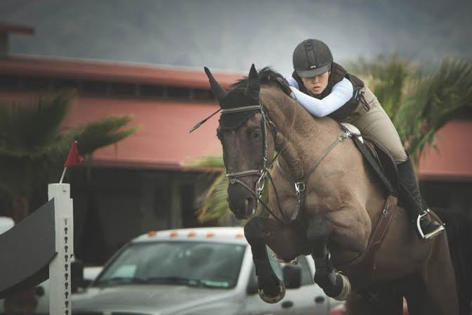 Stephanie Don and Atylo win First Place for the 1.15m at Gold Coast